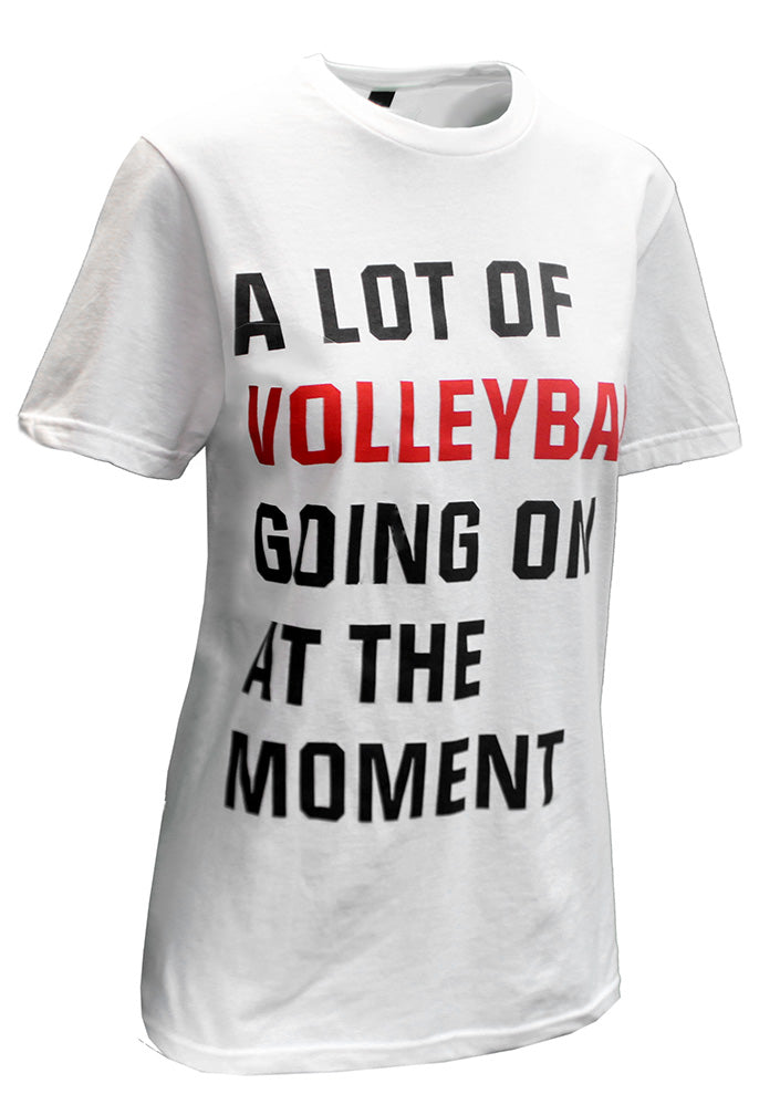 A Lot Of Volleyball Going On "Swiftie"