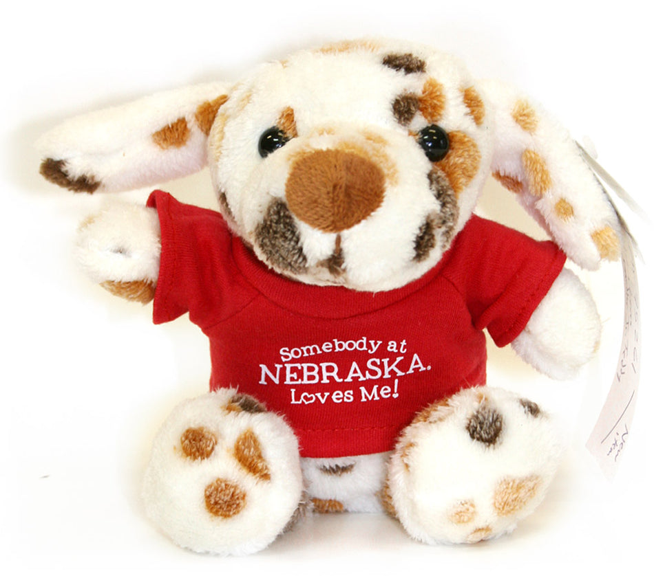 Huskers Loves Chandler Jr. Teddy