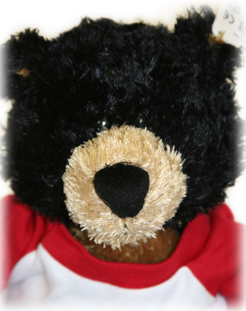 Huskers Hugs Lenny Teddy