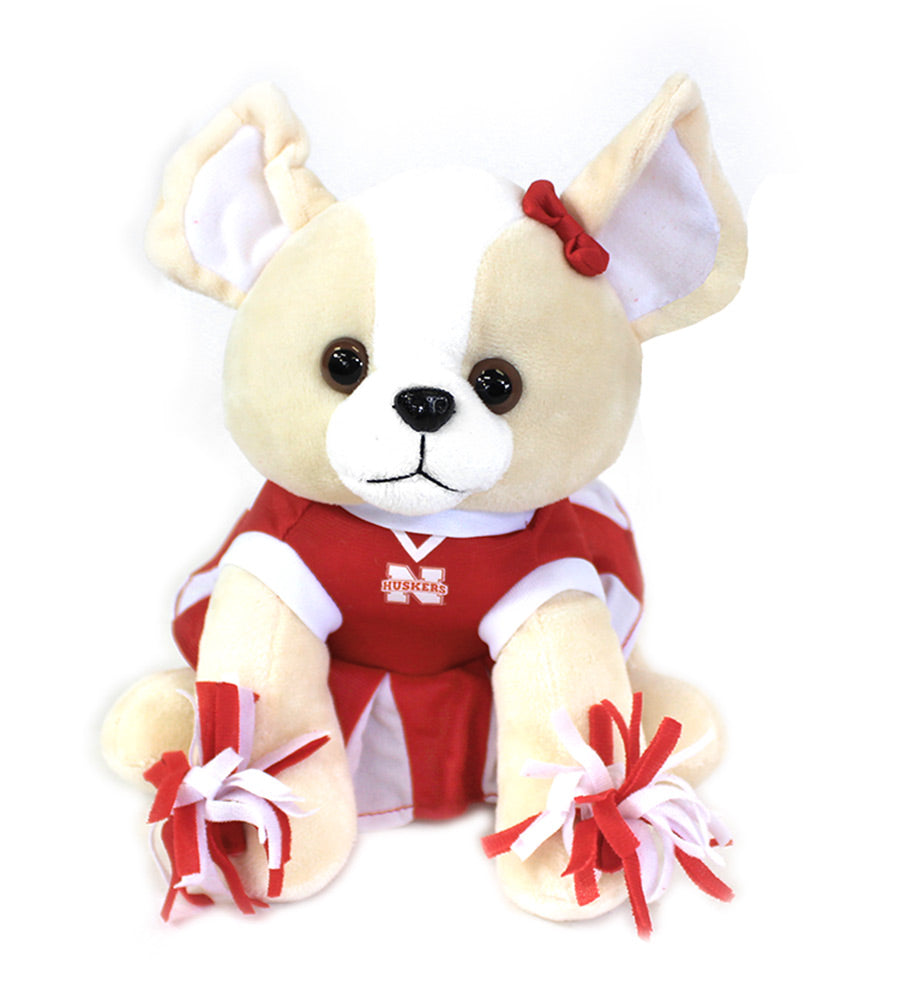 Nebraska Cheer Chihuahua
