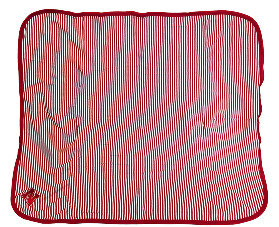 Husker Striped Baby Blanket
