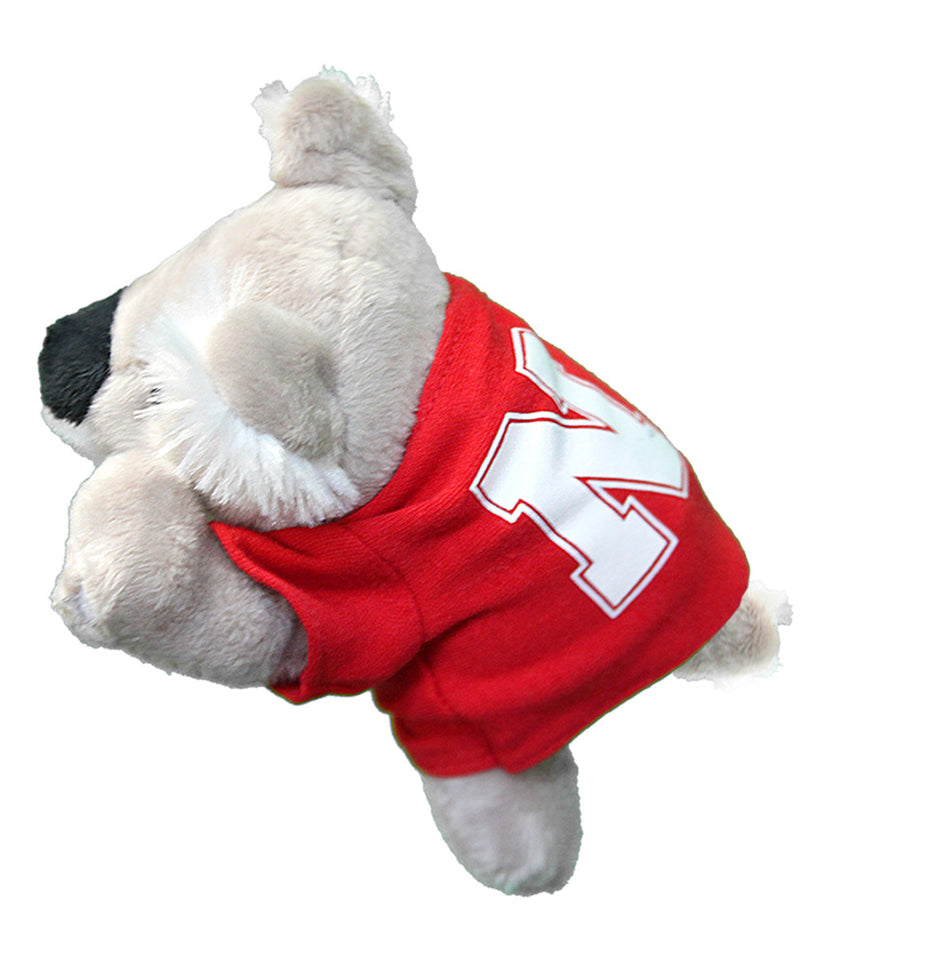 Husker Chublet Koala Bear