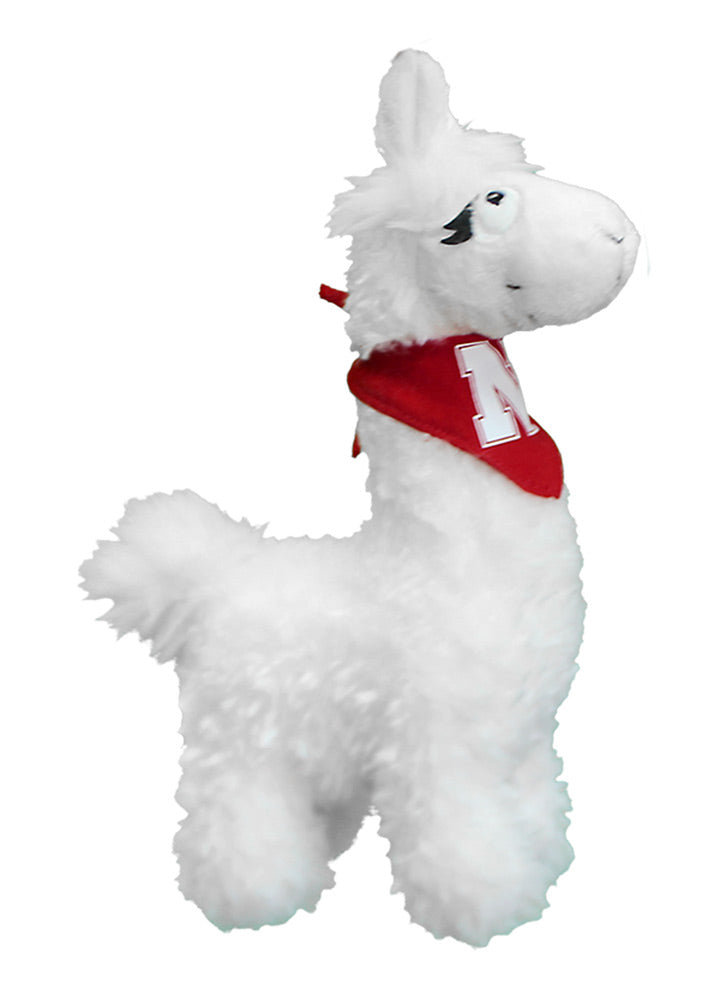 Nebraska Tina Llama