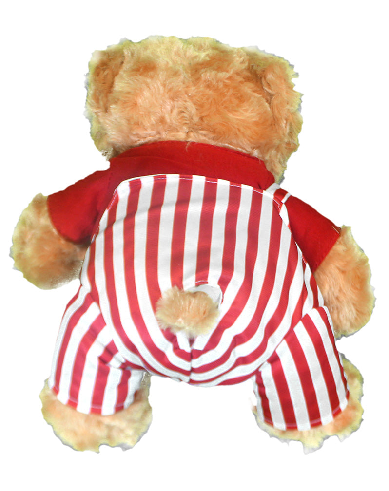 Freddy Golden Bear N Husker Game Bibs