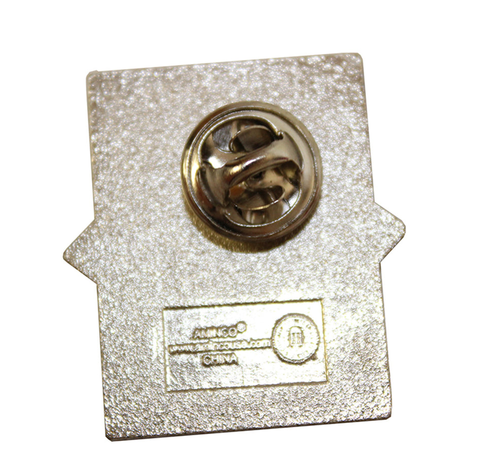 Nebraska Diamond Pin