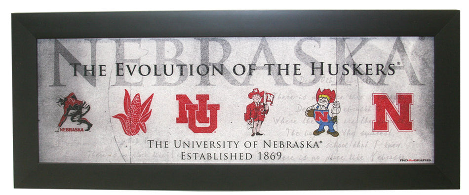 Framed Evolution Logos N Mascots Crackle