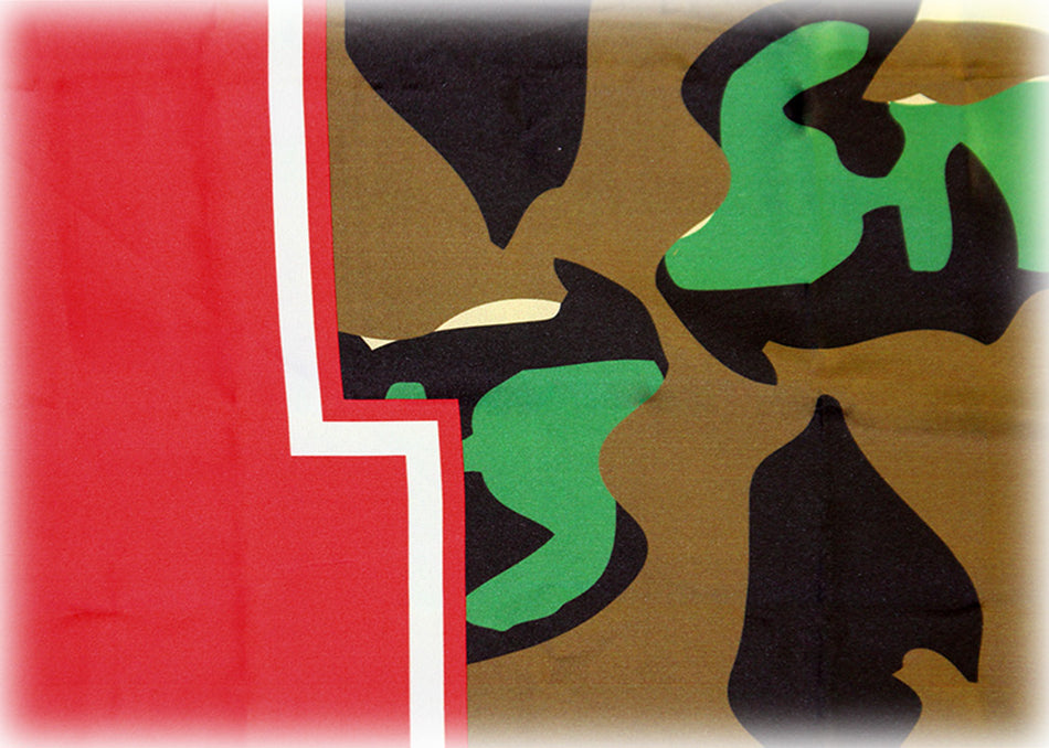 Nebraska Camo Flag
