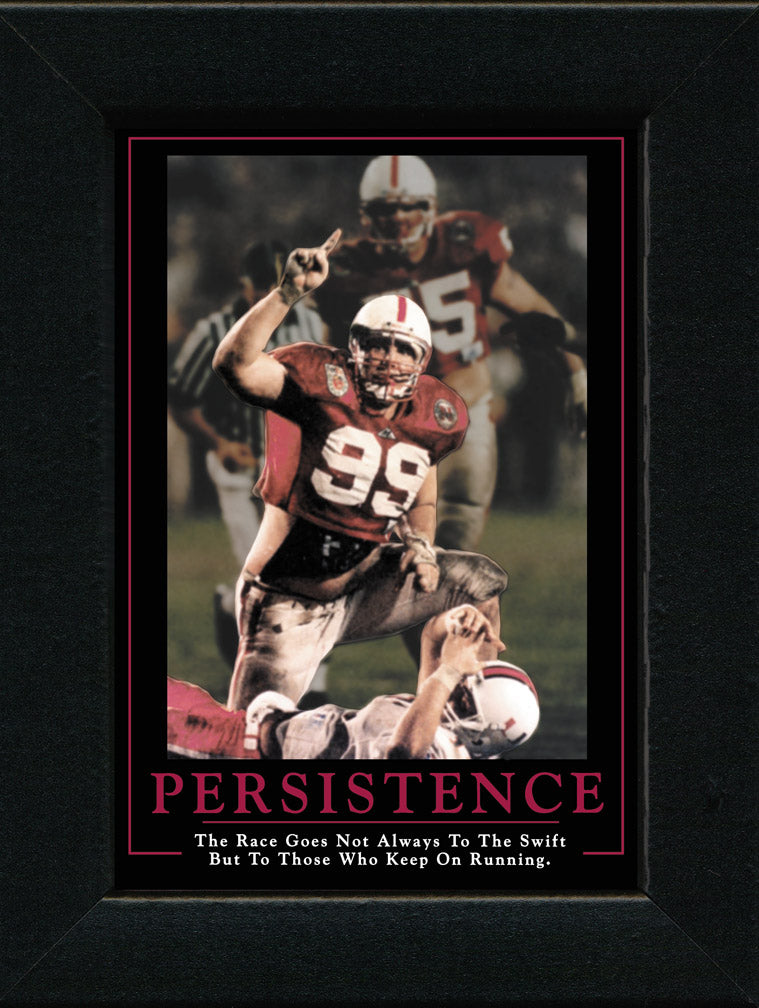 Persistence Framed