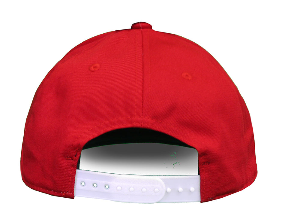 Adidas Iron N Flat Billed Snapback