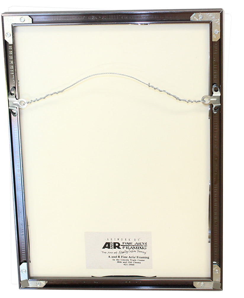 Framed Osborne Signed 1996 Fiesta Bowl Ticket