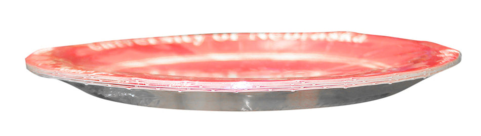 Huskers Paper Plates - 9 Inch