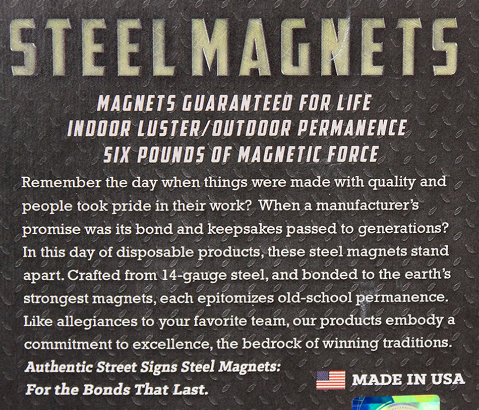N Logo Steel Magnet