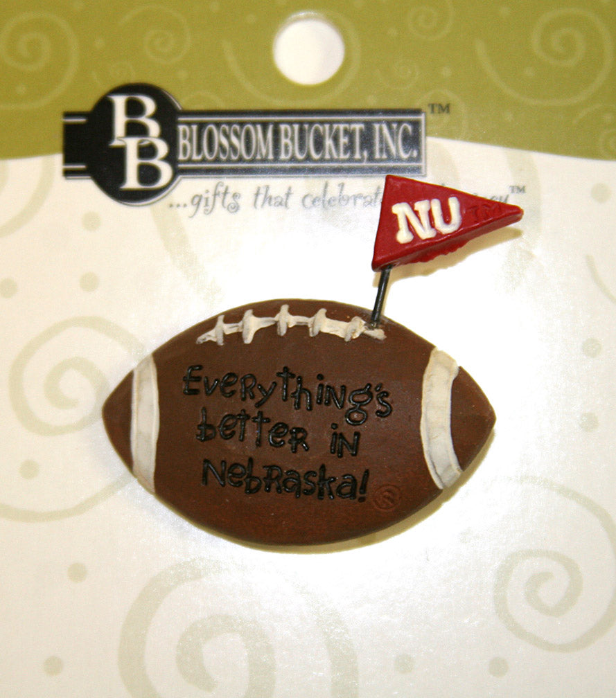 Pennant Football Pins Set