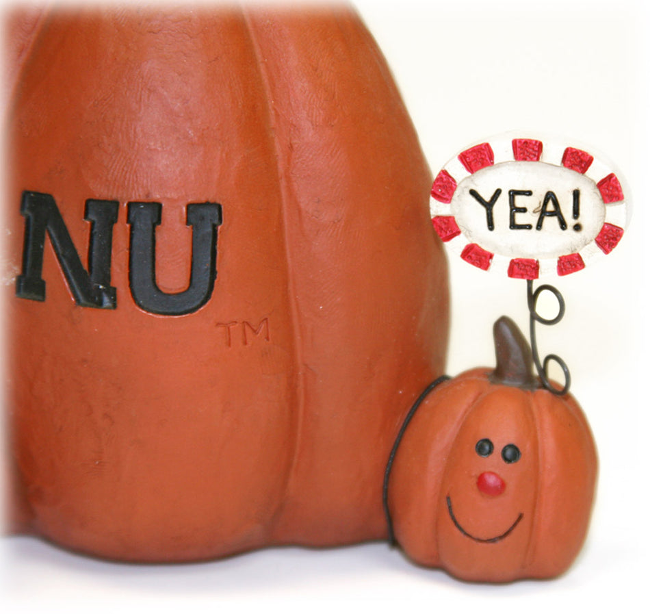 Husker Pumpkin Patch