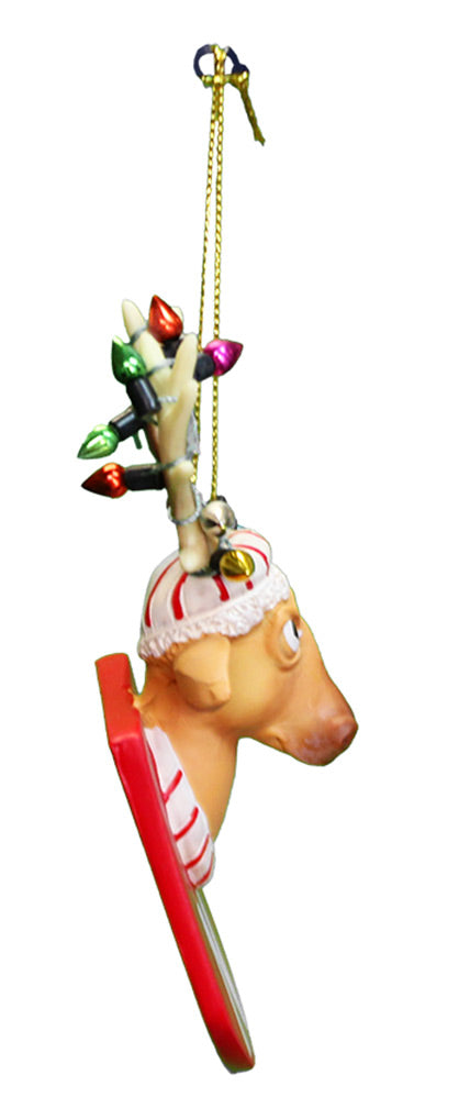 Nebraska N Reindeer Ornament