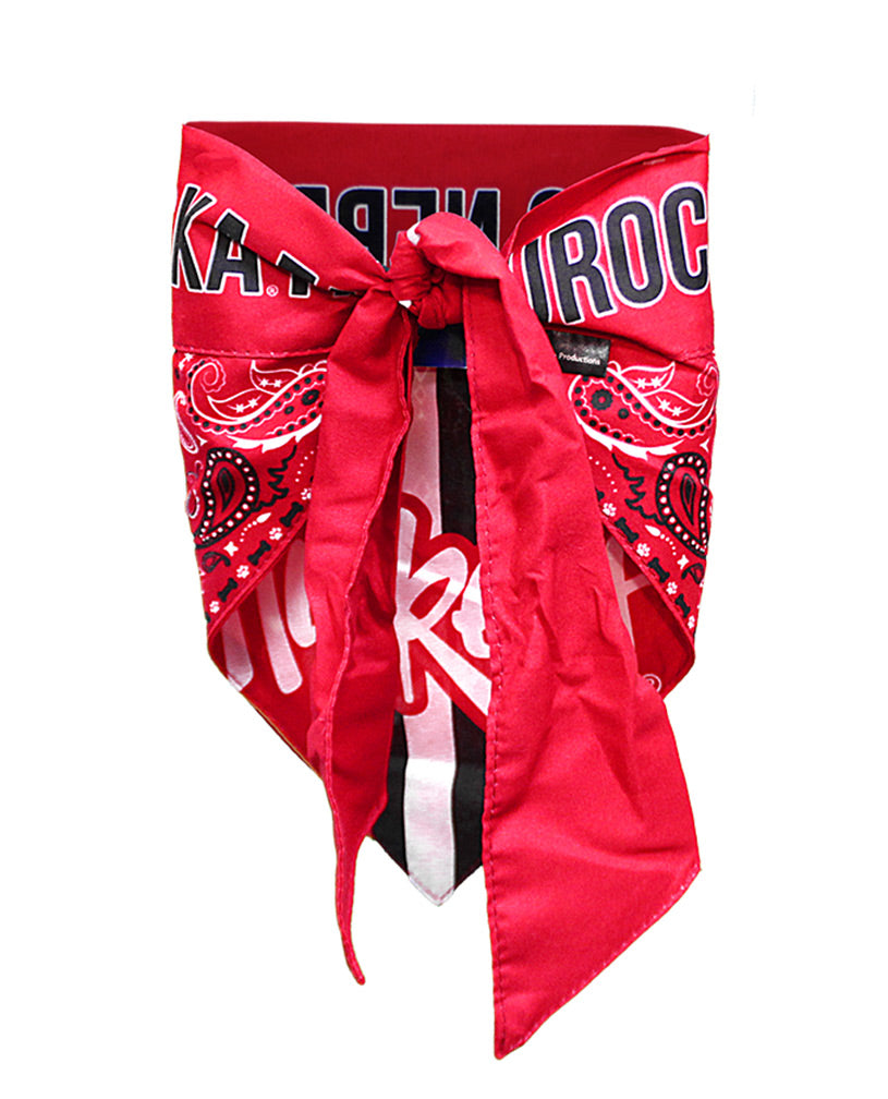 Nebraska Fan Pet Bandana