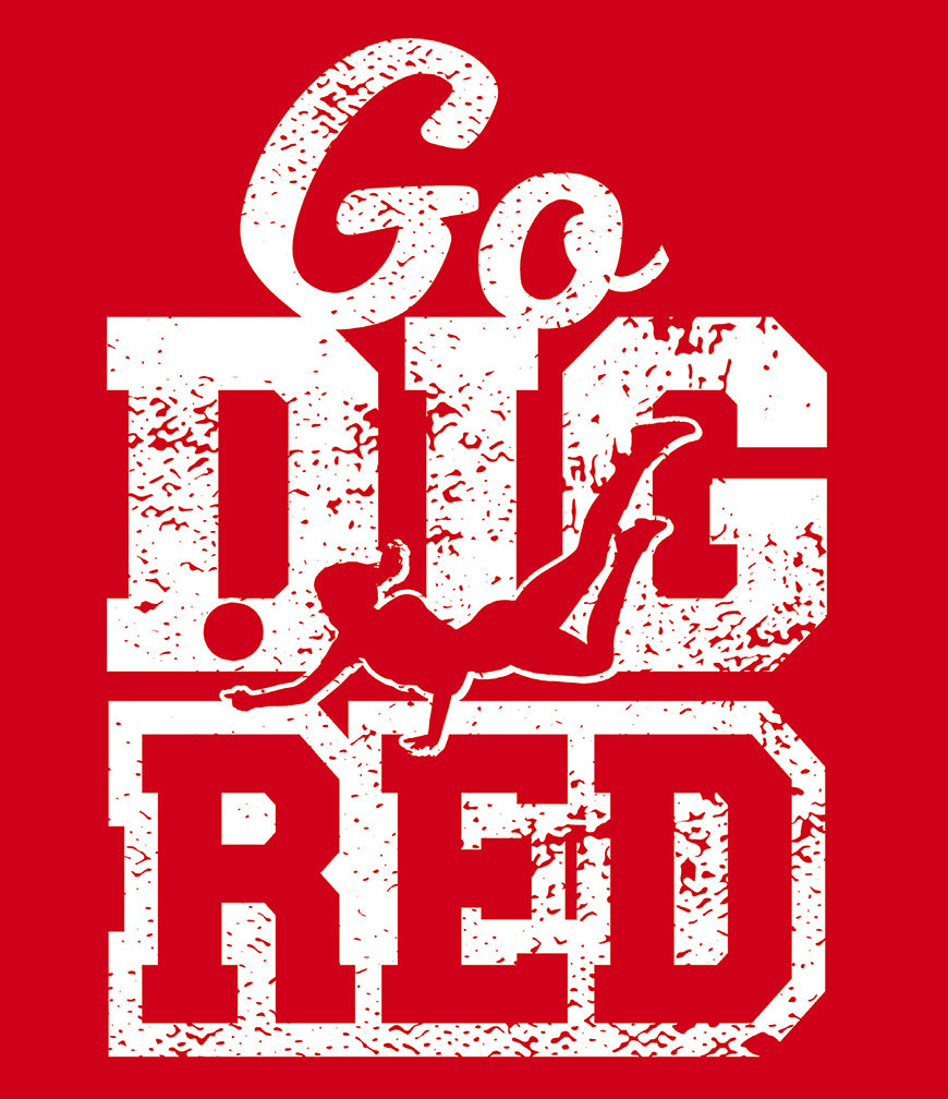 Huskers Volleyball Go Dig Red Tee