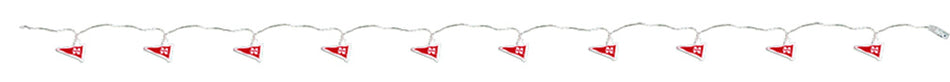 Nebraska LED Party Pennant String Lights